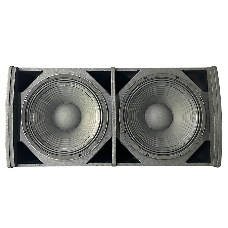 Dual 15 Inch Bass Pro Speaker 